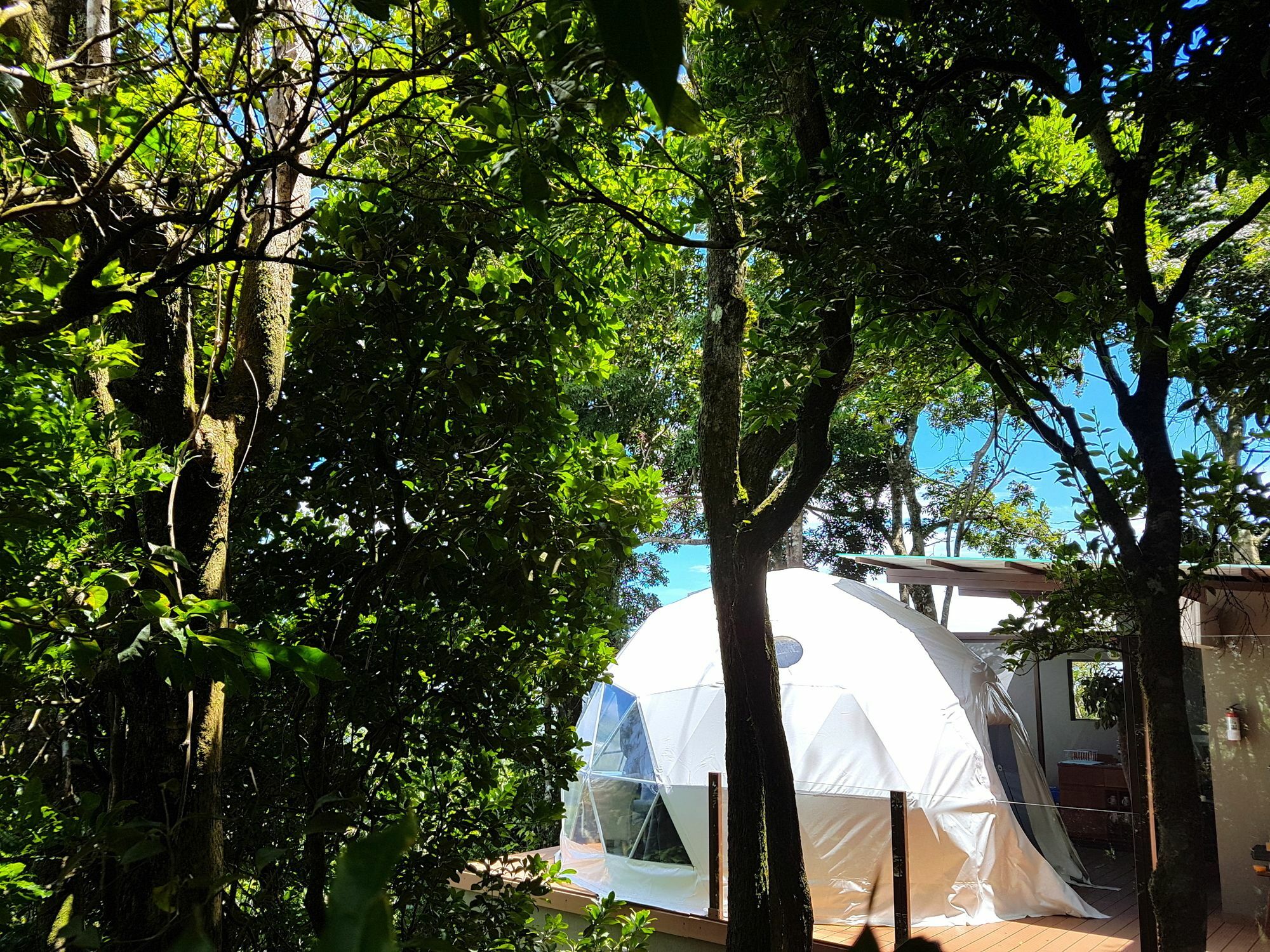 Chira Glamping Monteverde Hotel Exterior photo