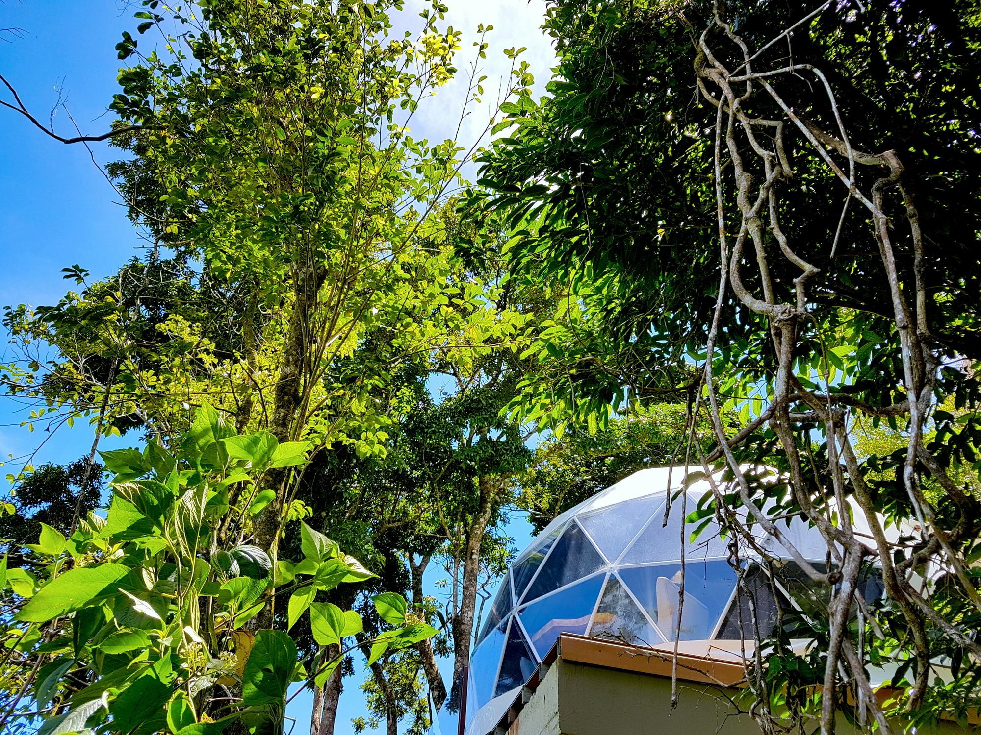 Chira Glamping Monteverde Hotel Exterior photo